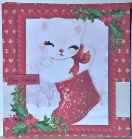 Gorgeous Cat With Holly 8x8 by Hazel Underwood