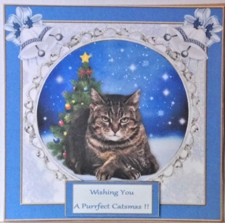 A Bumper cats kit  by Hazel Underwood