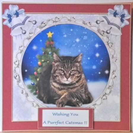 A Bumper cats kit  by Hazel Underwood
