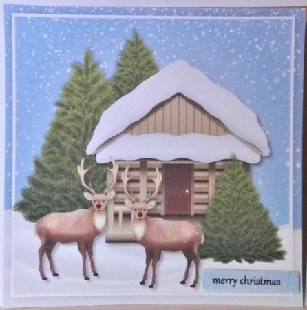 Topper Cabin In The Snow by Hazel Underwood