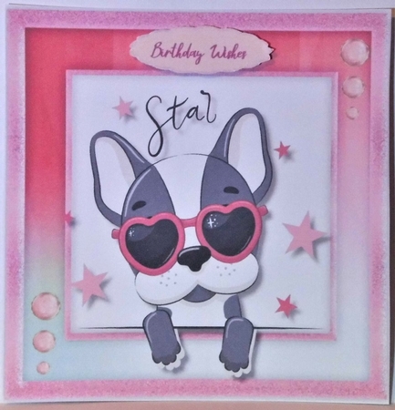 Cute Star Animal  9 by Hazel Underwood