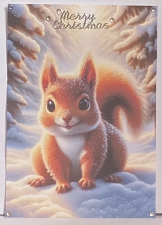 EW A4 Squirrel 01 by Hazel Underwood