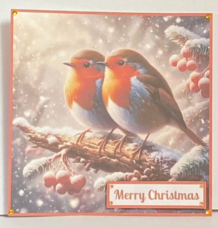 Beautiful Robins Toppers. by Hazel Underwood