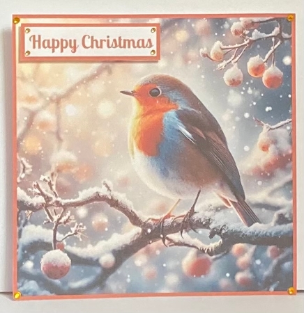 Beautiful Robins Toppers. by Hazel Underwood