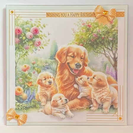 WOOFS AND LICKS BIRTHDAY CARD by Hazel Underwood