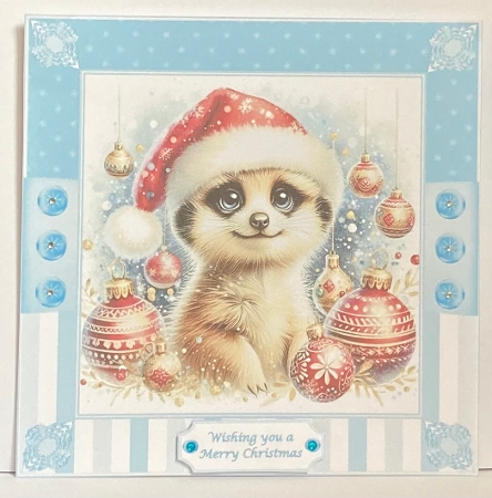 8 x 8 cute meerkat quick card front  by Hazel Underwood