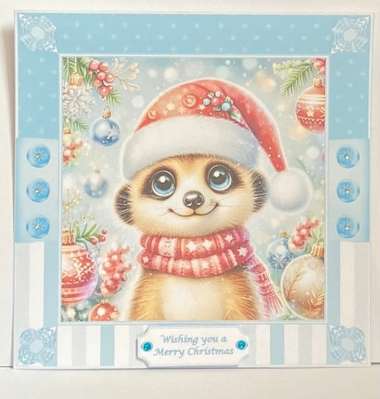 8 x 8 cute meerkat quick card front.1 by Hazel Underwood