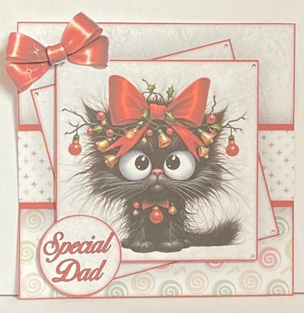 Angry Cat  Mini Kit  by Hazel Underwood