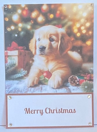Cute Christmas Puppy 5 x 7 Card Front. by Hazel Underwood