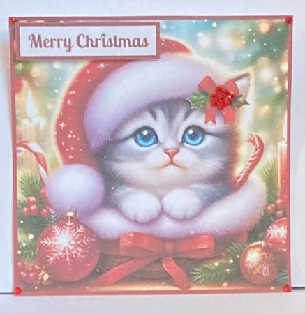 Cute Christmas kitten Toppers. by Hazel Underwood