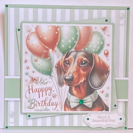 Male Happy Birthday Puppy 2 by Hazel Underwood