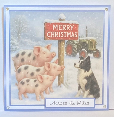 the christmas sign pigs by Hazel Underwood