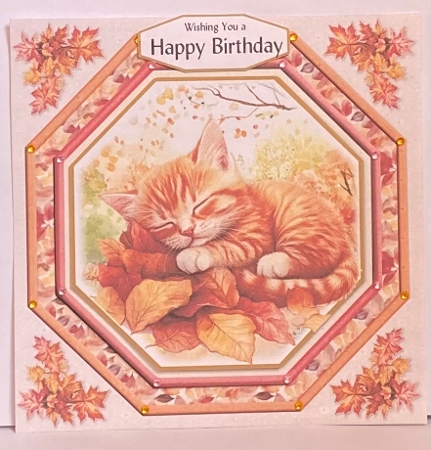 Feline Autumnal 7 by Hazel Underwood