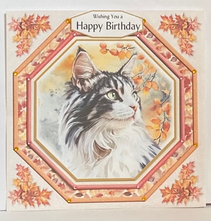 Feline Autumnal 12 by Hazel Underwood