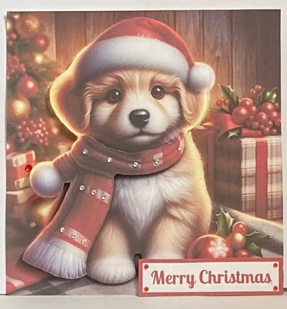 Christmas Puppy Quick Card. by Hazel Underwood