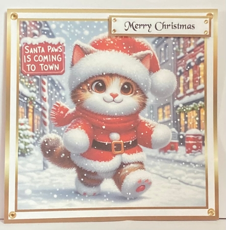  christmas santa paws cat1 by Hazel Underwood