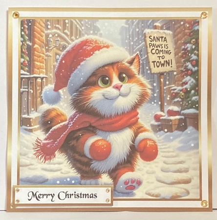  christmas santa paws cat 2 by Hazel Underwood