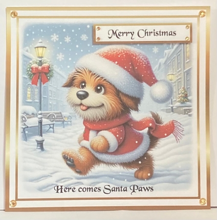  christmas santa paws dog1 by Hazel Underwood