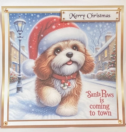 cockapoo santa paws by Hazel Underwood