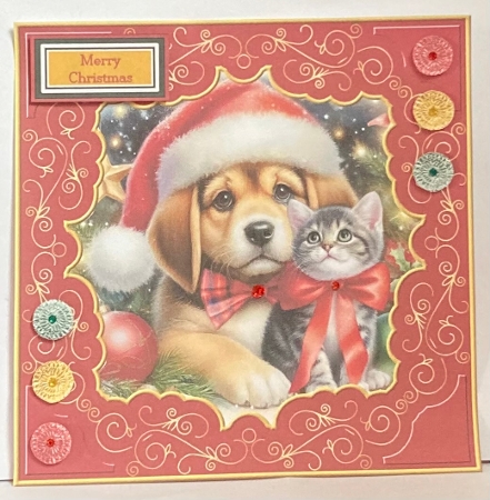 Christmas assortment 2 new for 2025 by Hazel Underwood