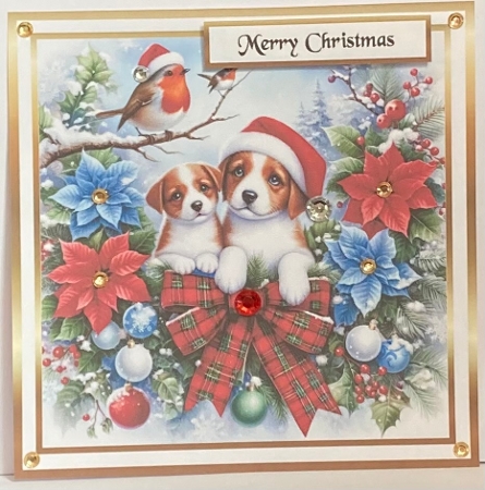 pups 2 at christmas by Hazel Underwood