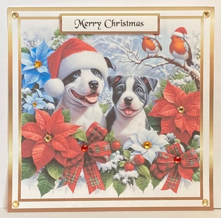 pups 3 at christmas by Hazel Underwood