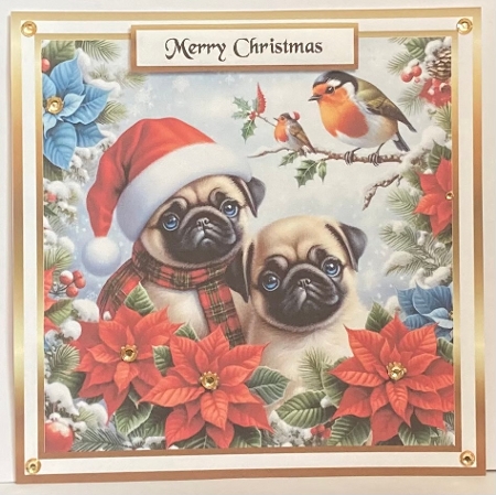 pugs at christmas by Hazel Underwood
