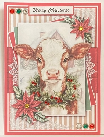 Christmas Cow  by Hazel Underwood