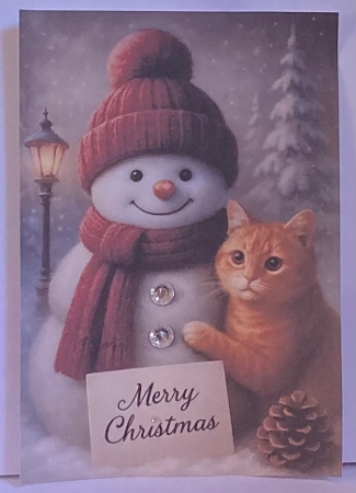 Christmas Snowman and Cat A4 by Hazel Underwood