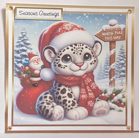 snow leopard by Hazel Underwood