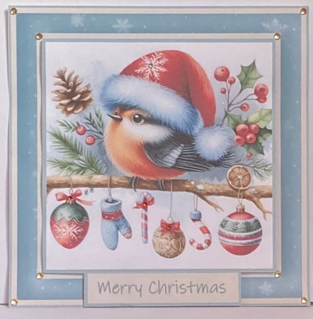 some christmas extras  cute robin by Hazel Underwood