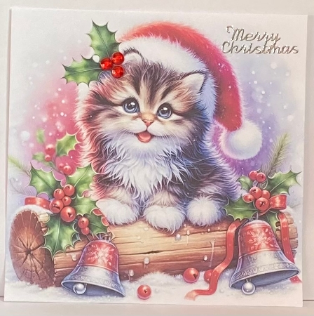 Fluffy Christmas Kitten - Illustrations for Cards, Mini kits & Designers by Hazel Underwood