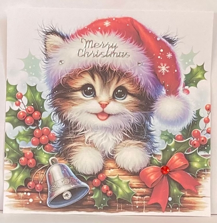 Fluffy Christmas Kitten - Illustrations for Cards, Mini kits & Designers by Hazel Underwood