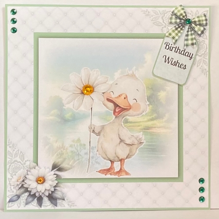 A Not So Ugly Duckling - 8x8 Card Fronts by Hazel Underwood