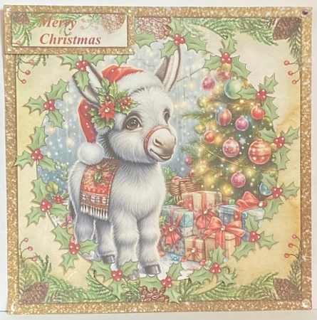 Donkeys at Christmas  Featured Gallery Photo