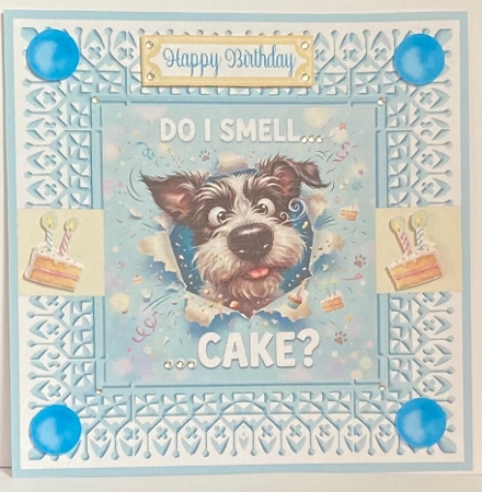 Do I Smell Cake Birthday 7 x 7 Card by Hazel Underwood