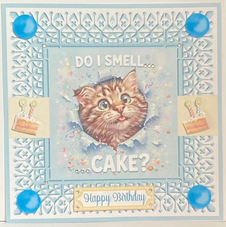 No 2 Do I Smell Cake Birthday 7 x 7 Card by Hazel Underwood