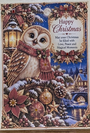 Christmas Owl A4 Portrait Card Topper by Hazel Underwood