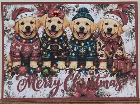 Christmas Puppies 7 x 5 Card by Hazel Underwood