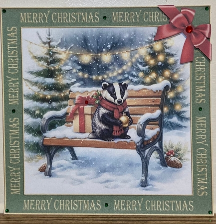 Christmas day at the park 2026 by Hazel Underwood