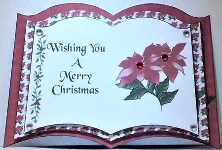 Open Book Poinsettia by Hazel Underwood