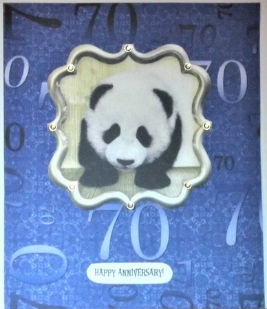 Dark Blue Metallic 70th Birthday A4 Backing Paper by Hazel Underwood