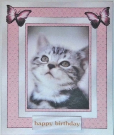 Miss You - adorable Kitten -  by Hazel Underwood