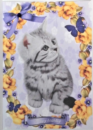 Lovely Grey Cat in Yellow Rose Frame A4 by Hazel Underwood