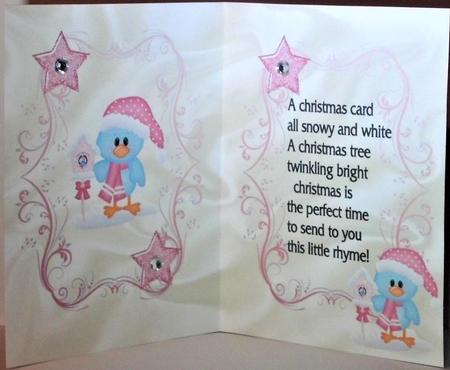 Home Tweet Home Bluebird in Snow A5 Insert with Verse by Hazel Underwood