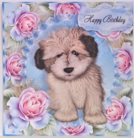 Beautiful Shaggy Dog with Roses 8x8 Mini Kit by Hazel Underwood