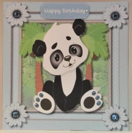 Cute Little Panda Boy by Hazel Underwood