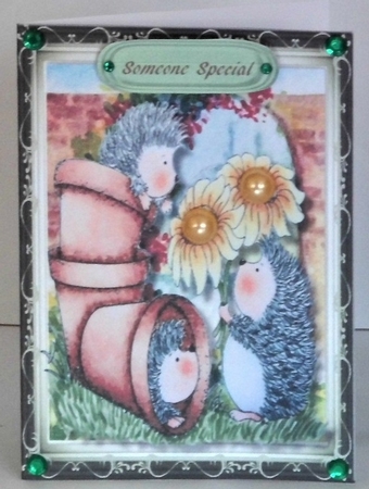 A5 Mini Kit , Pots of Hedgehog Love  by Hazel Underwood
