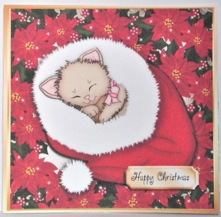 Adorable Cat Snuggled Up 8x8 by Hazel Underwood