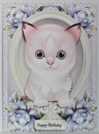 Funny White & Grey Cat  by Hazel Underwood